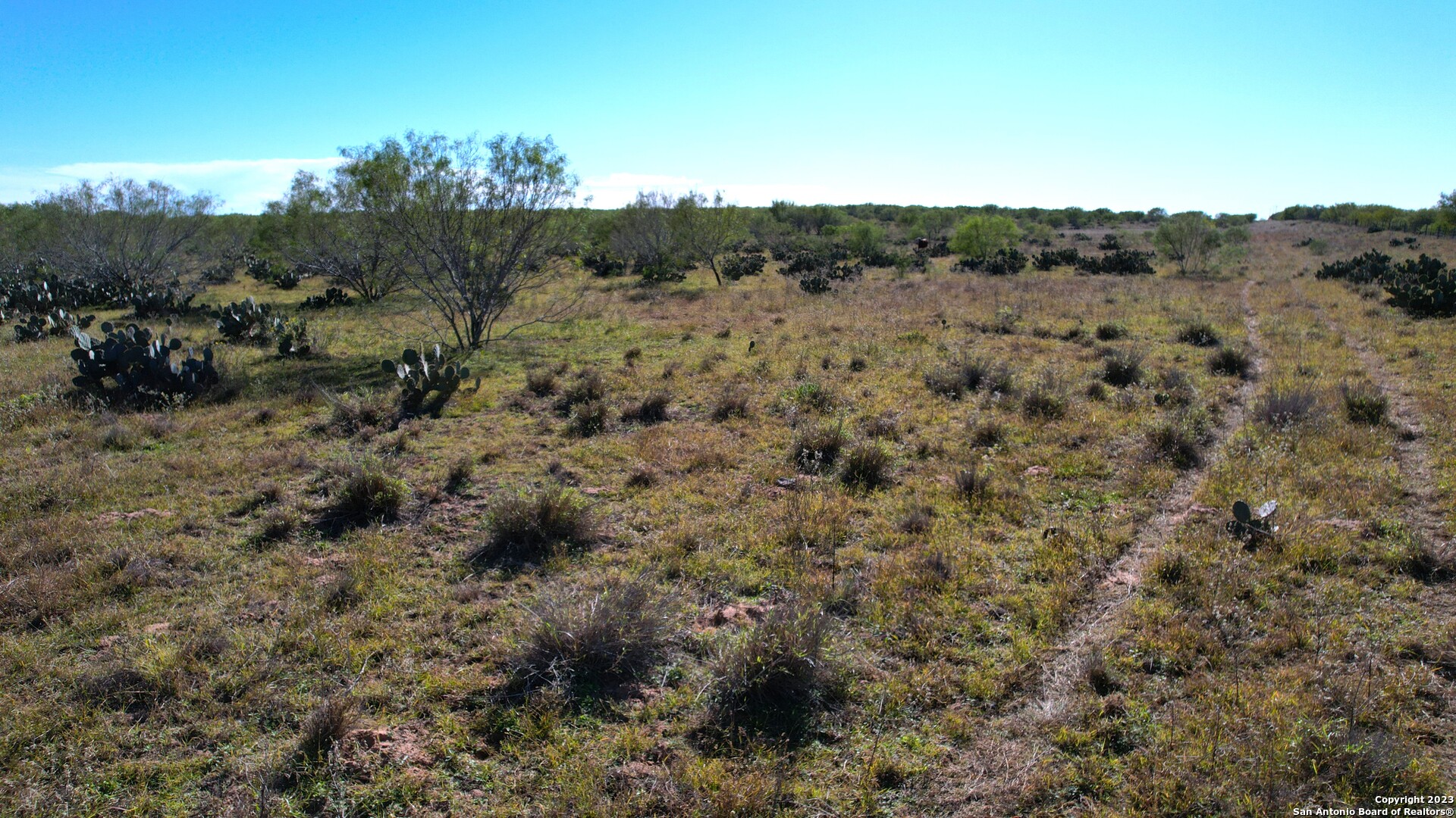 1913 County Road 3000 Pearsall TX 78061