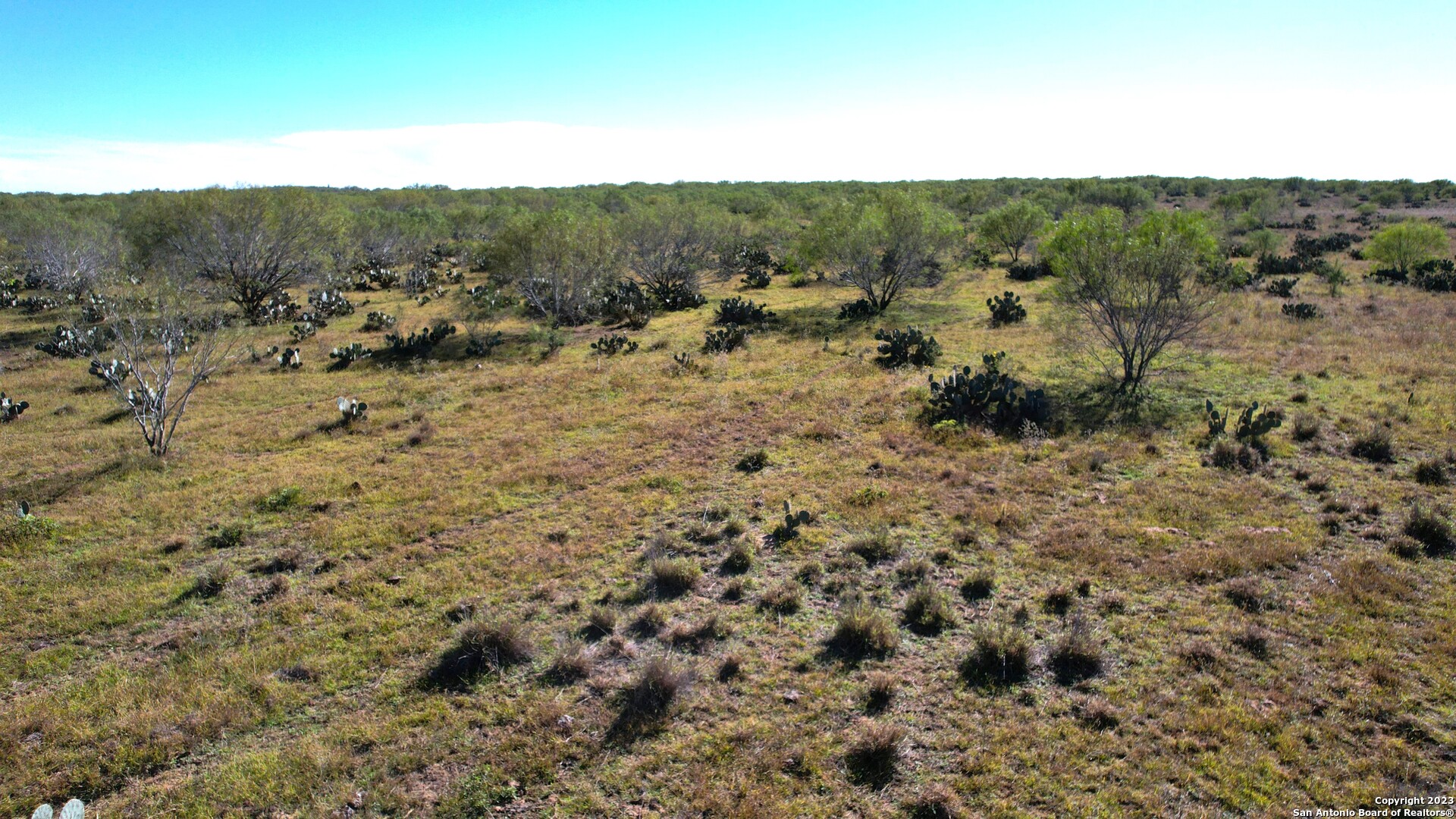 1913 County Road 3000 Pearsall TX 78061