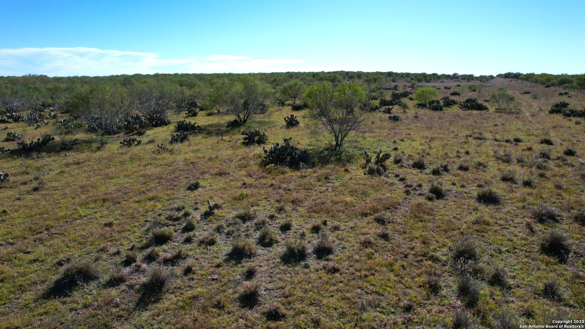 1913 County Road 3000 Pearsall TX 78061