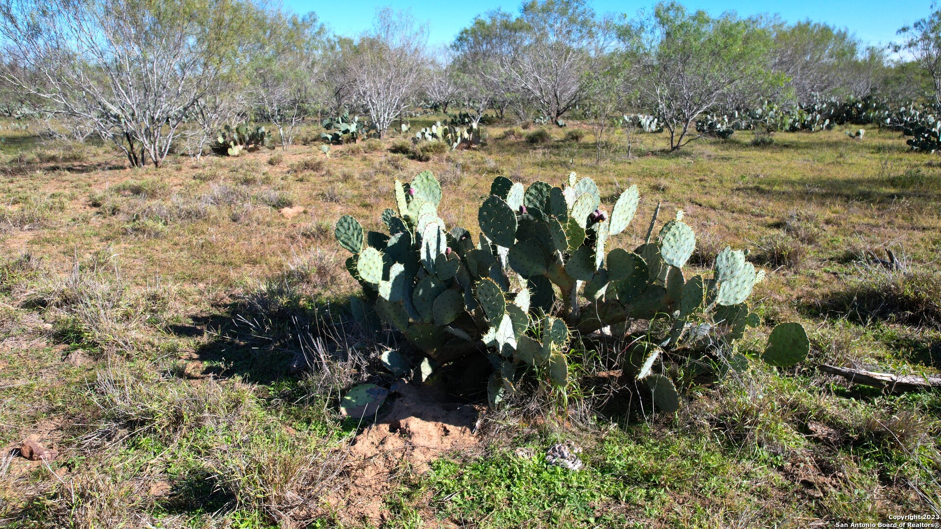 1913 County Road 3000 Pearsall TX 78061
