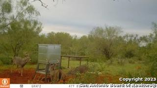 1913 County Road 3000 Pearsall TX 78061