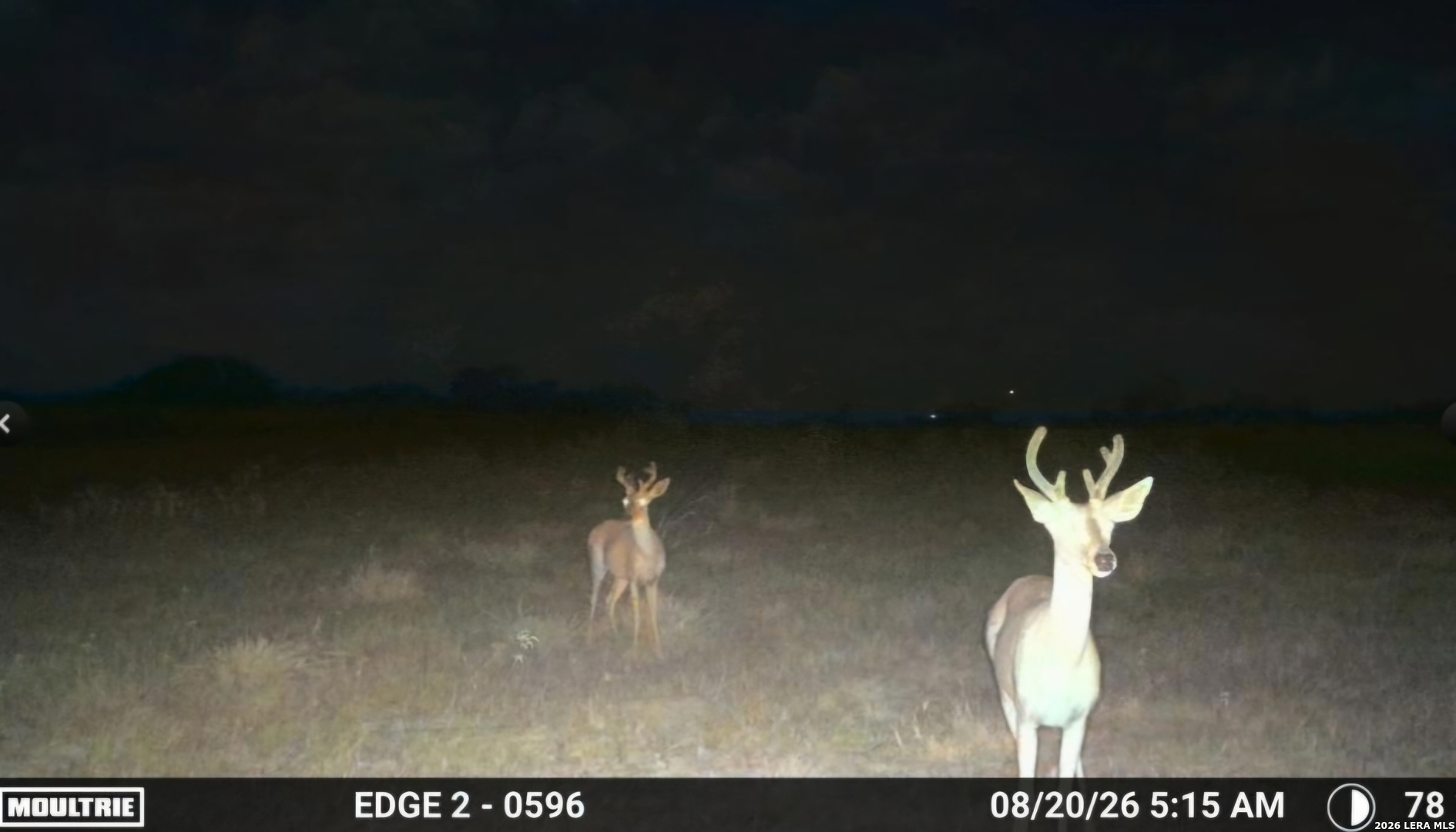 7275 S Highway 281 Encino TX 78353