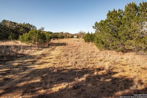 1100 Baptist Lane Tarpley TX 78883