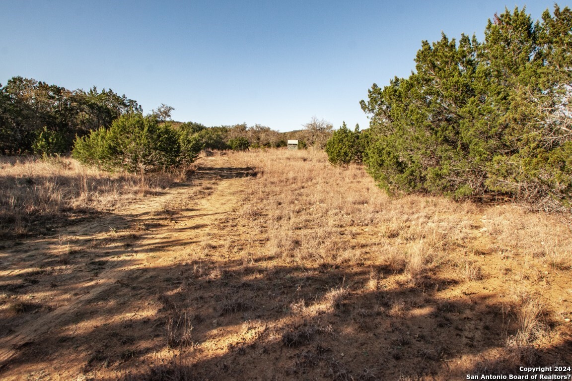 1100 Baptist Lane Tarpley TX 78883