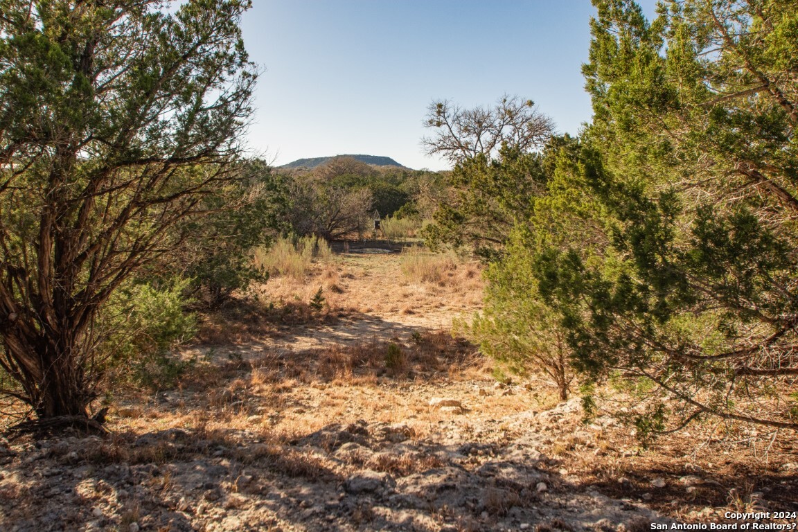 1100 Baptist Lane Tarpley TX 78883