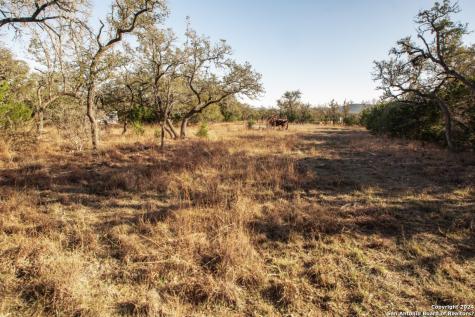 1100 Baptist Lane Tarpley TX 78883