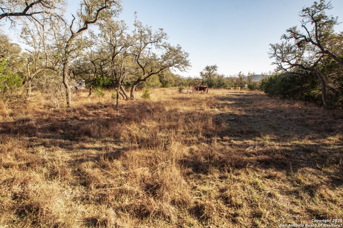 1100 Baptist Lane Tarpley TX 78883