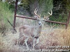 1100 Baptist Lane Tarpley TX 78883