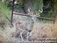 1100 Baptist Lane Tarpley TX 78883