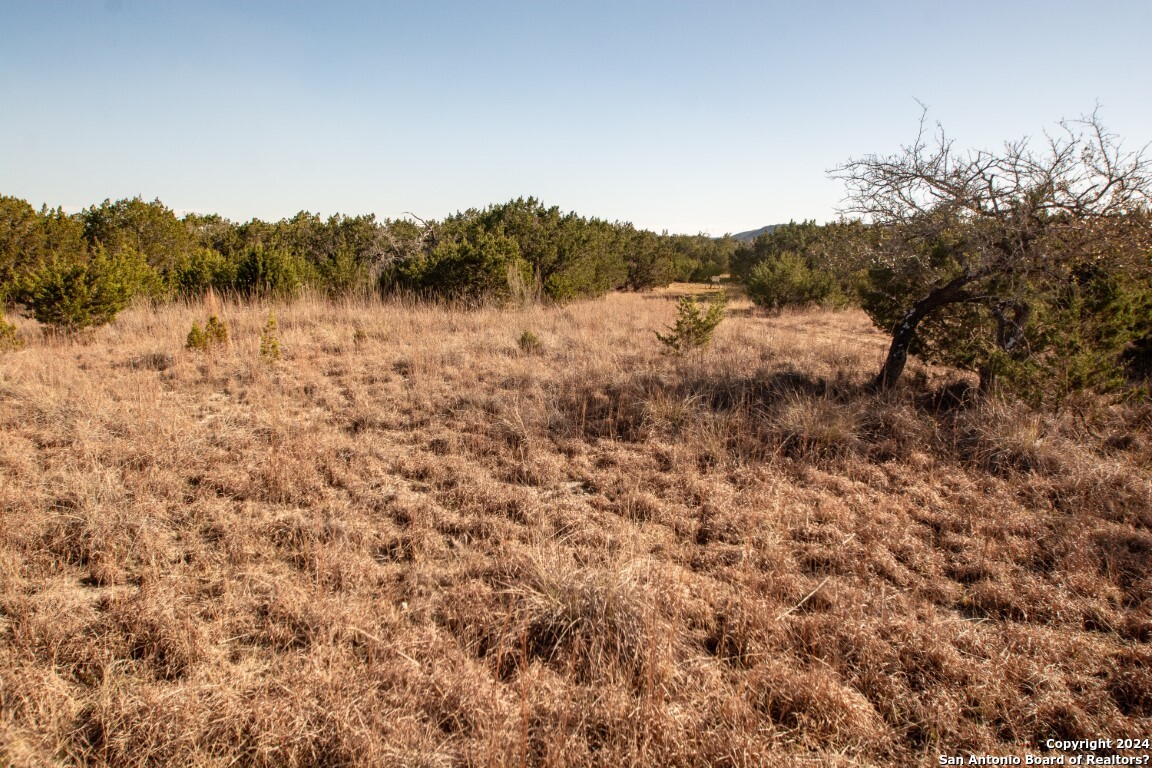 1100 Baptist Lane Tarpley TX 78883