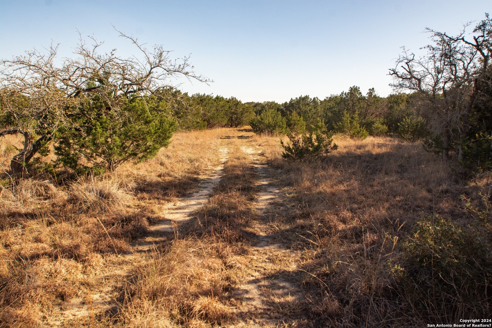 1100 Baptist Lane Tarpley TX 78883