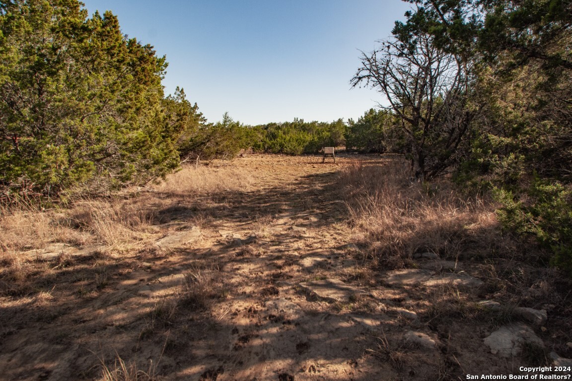 1100 Baptist Lane Tarpley TX 78883