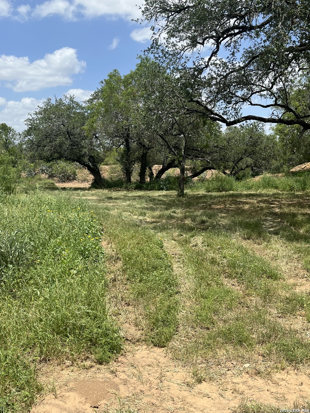 946 County Road 2863 Bigfoot TX 78006