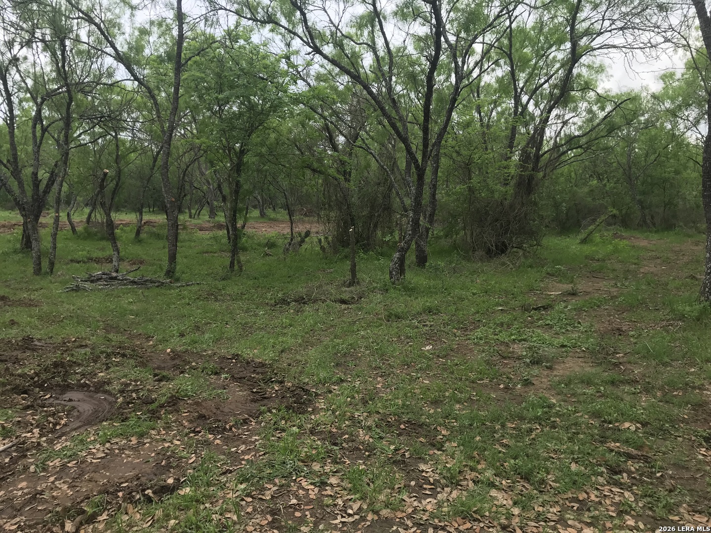 946 County Road 2863 Bigfoot TX 78006