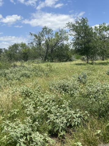 946 County Road 2863 Bigfoot TX 78006