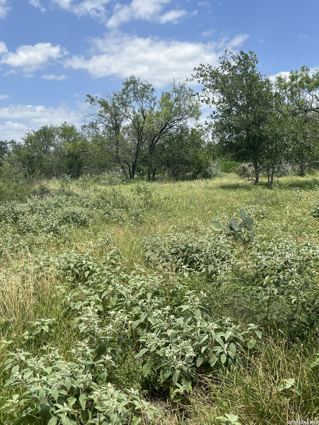 946 County Road 2863 Bigfoot TX 78006