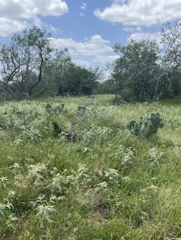 946 County Road 2863 Bigfoot TX 78006
