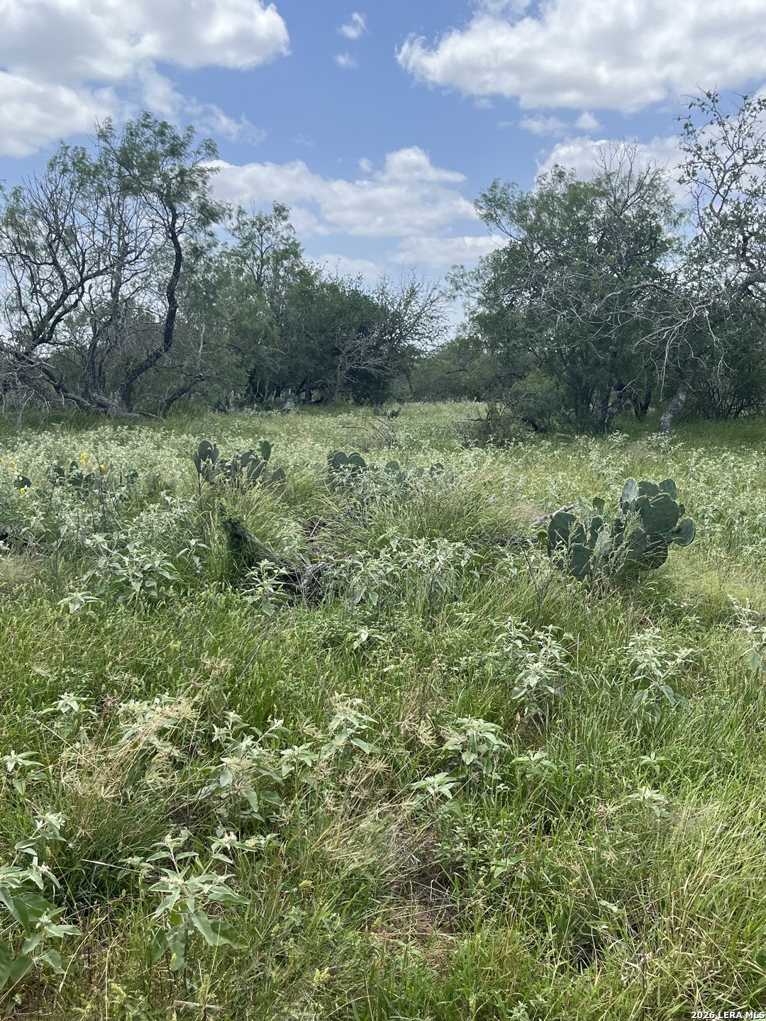 946 County Road 2863 Bigfoot TX 78006