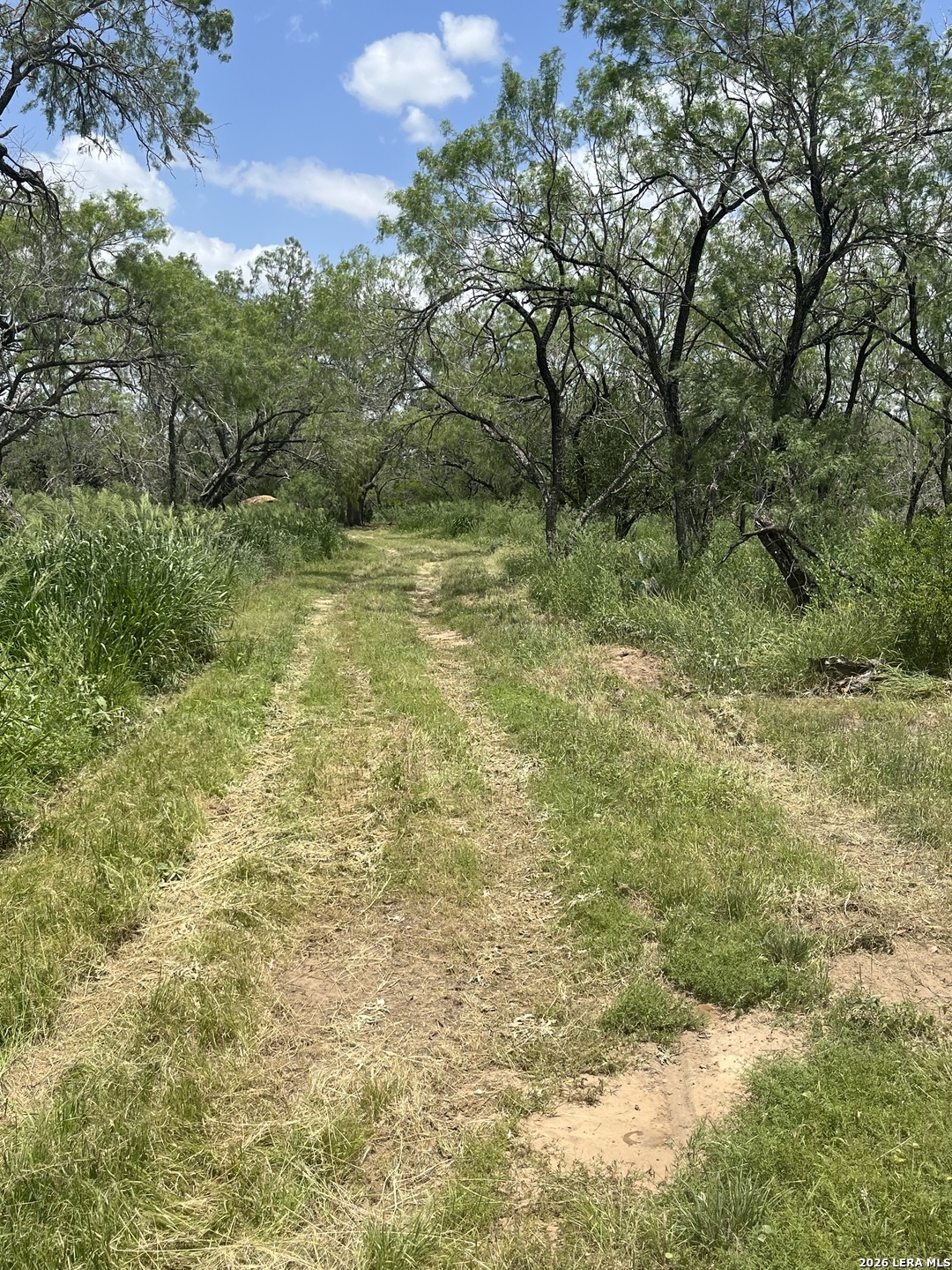 946 County Road 2863 Bigfoot TX 78006