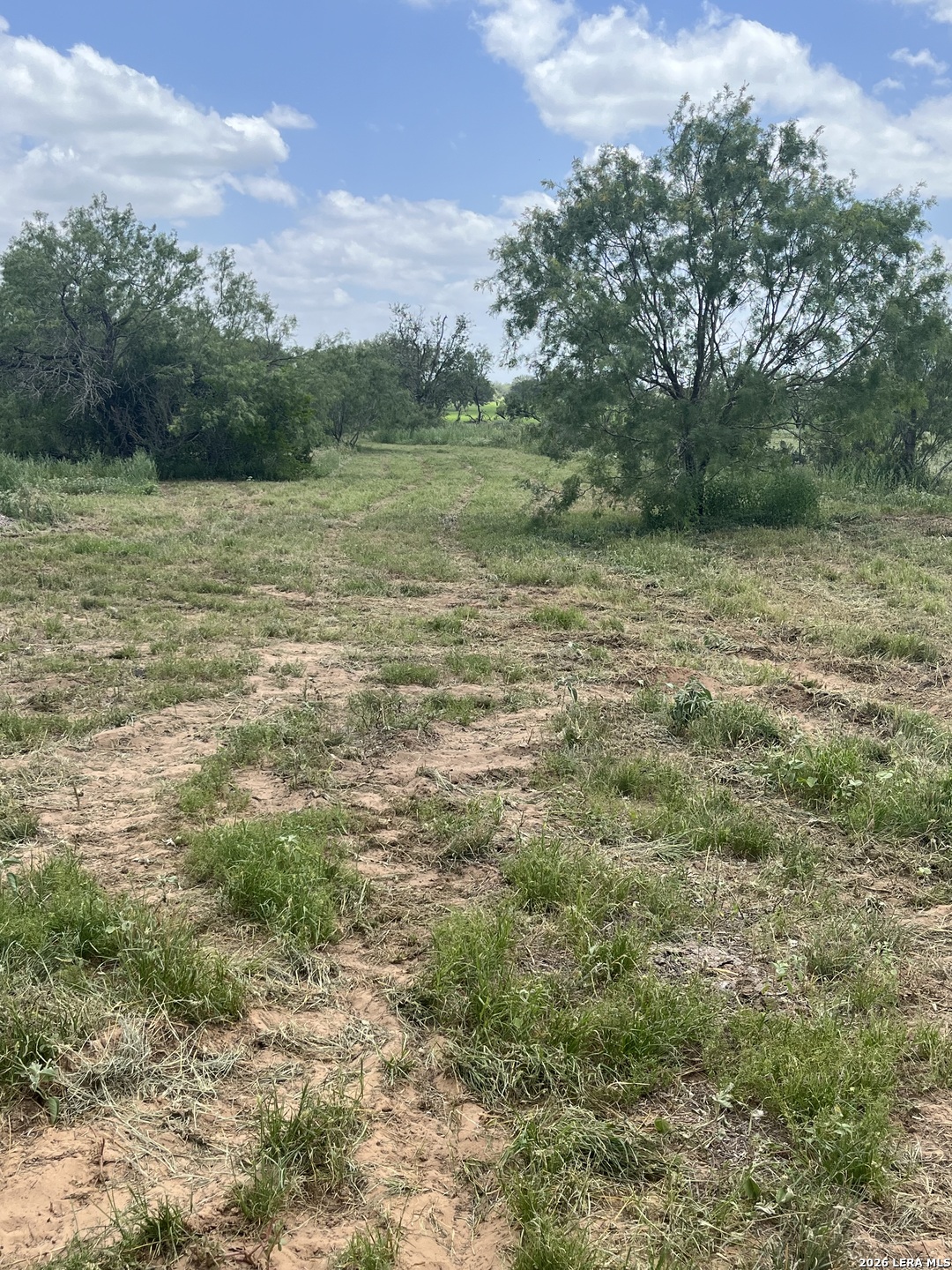 946 County Road 2863 Bigfoot TX 78006