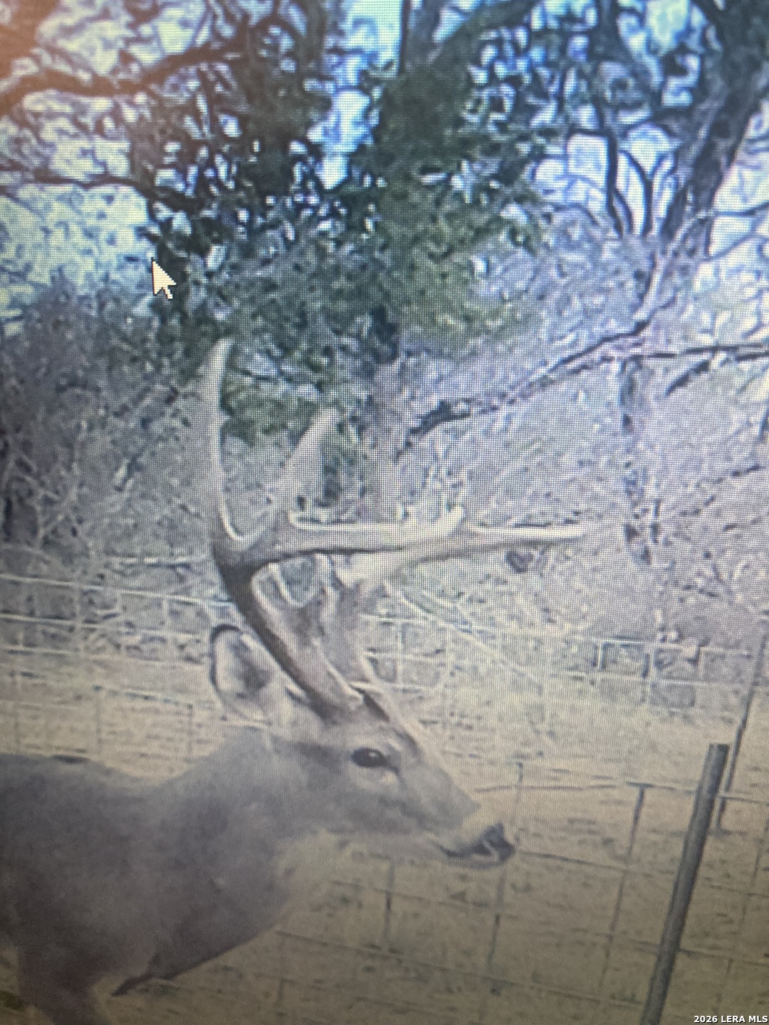 946 County Road 2863 Bigfoot TX 78006