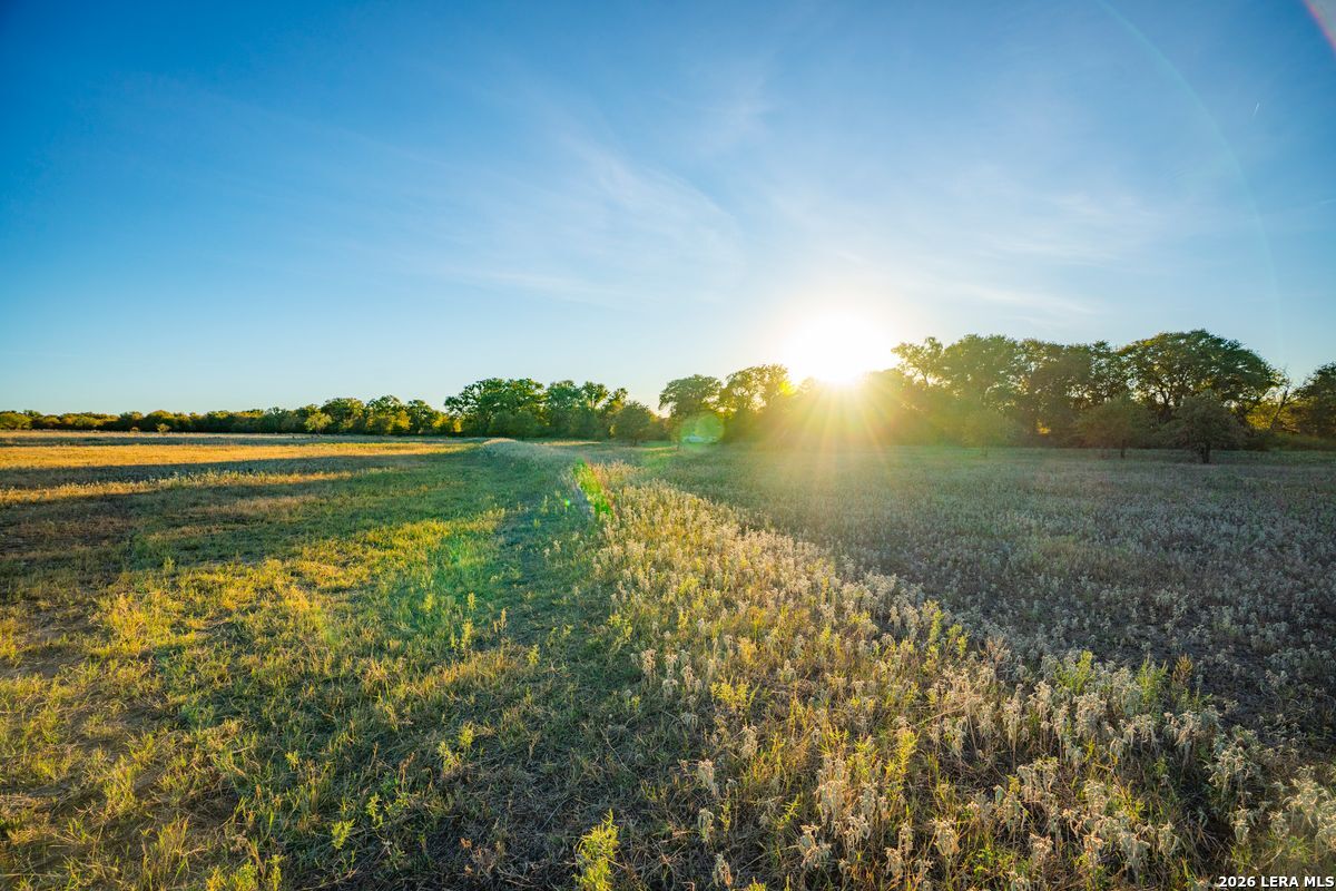 Tbd County Road 290 Rising Star TX 76471