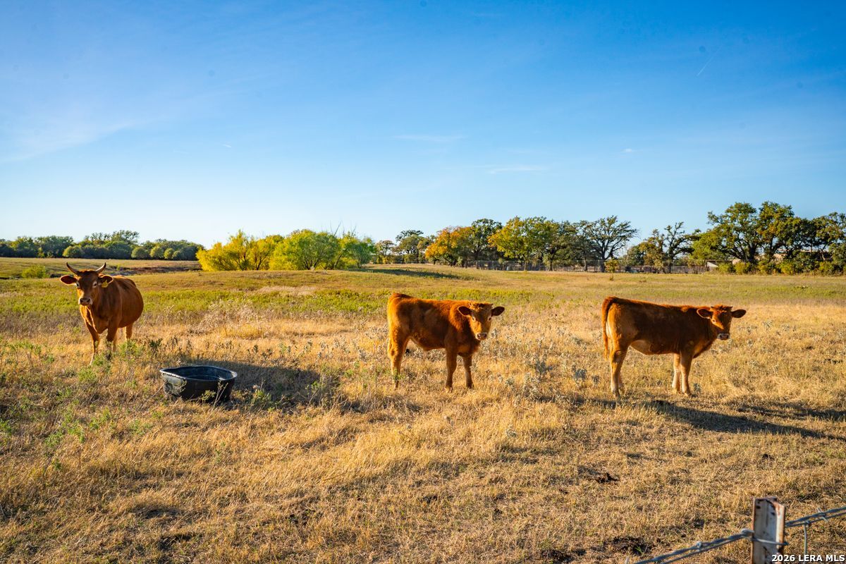 Tbd County Road 290 Rising Star TX 76471