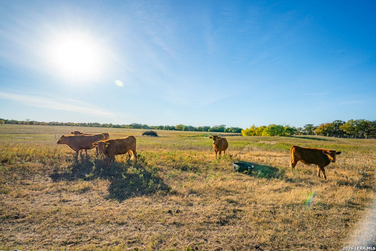 Tbd County Road 290 Rising Star TX 76471