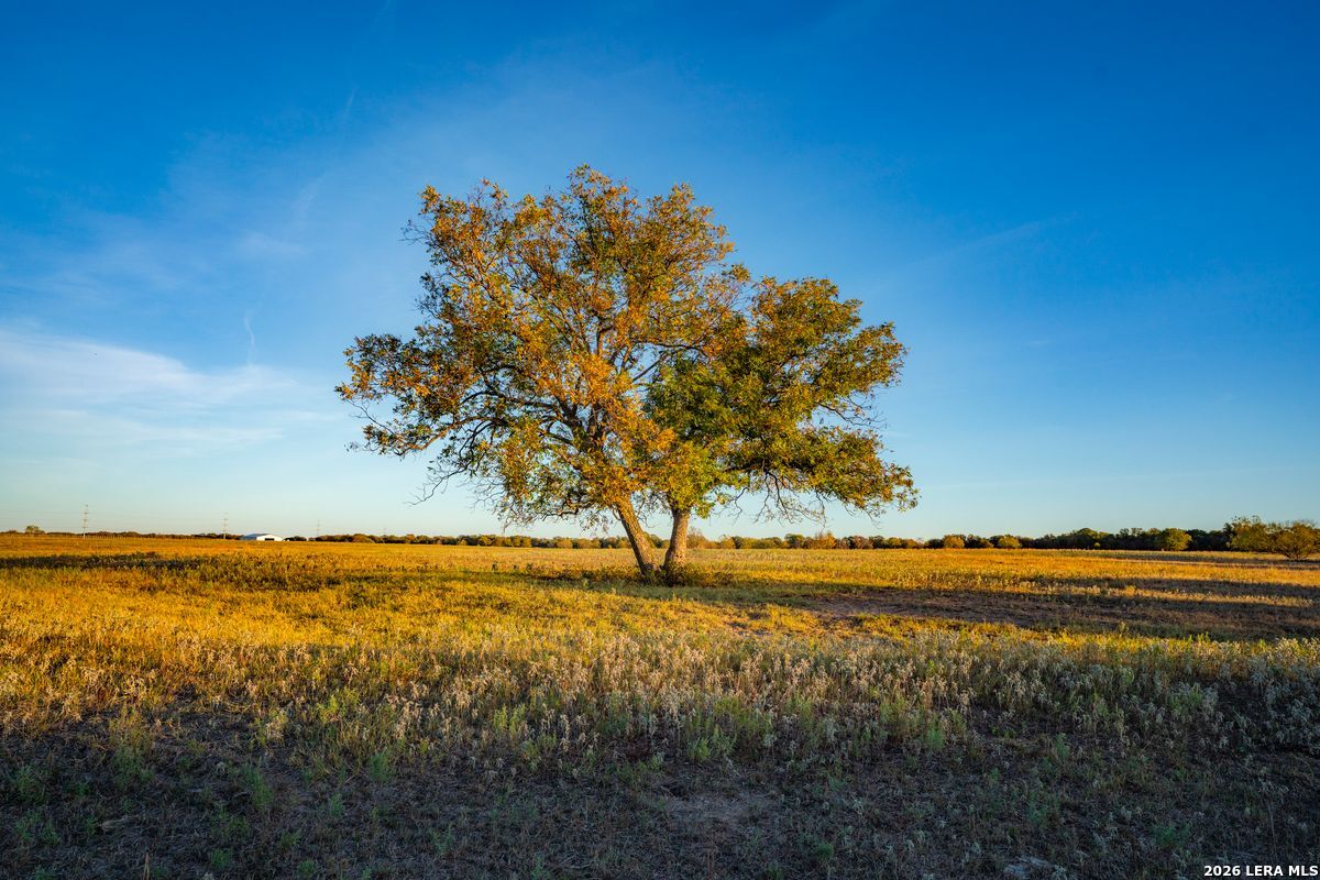 Tbd County Road 290 Rising Star TX 76471