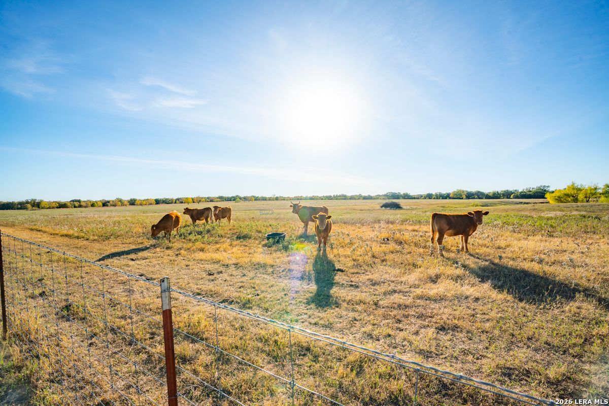 Tbd County Road 290 Rising Star TX 76471