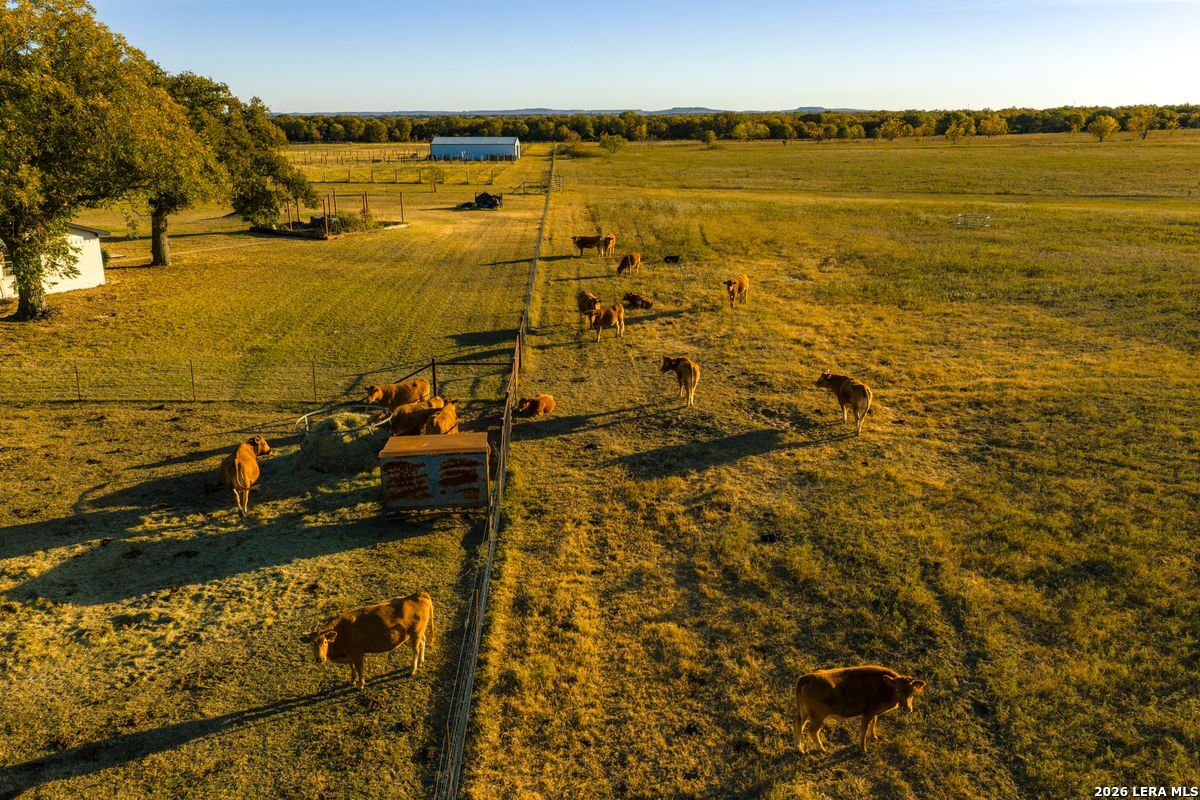 Tbd County Road 290 Rising Star TX 76471
