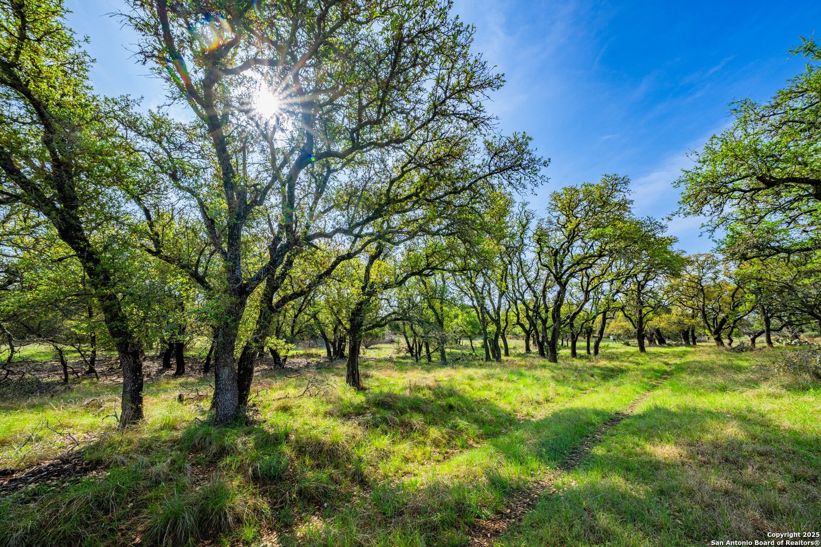 563 J B Road Harper TX 78631