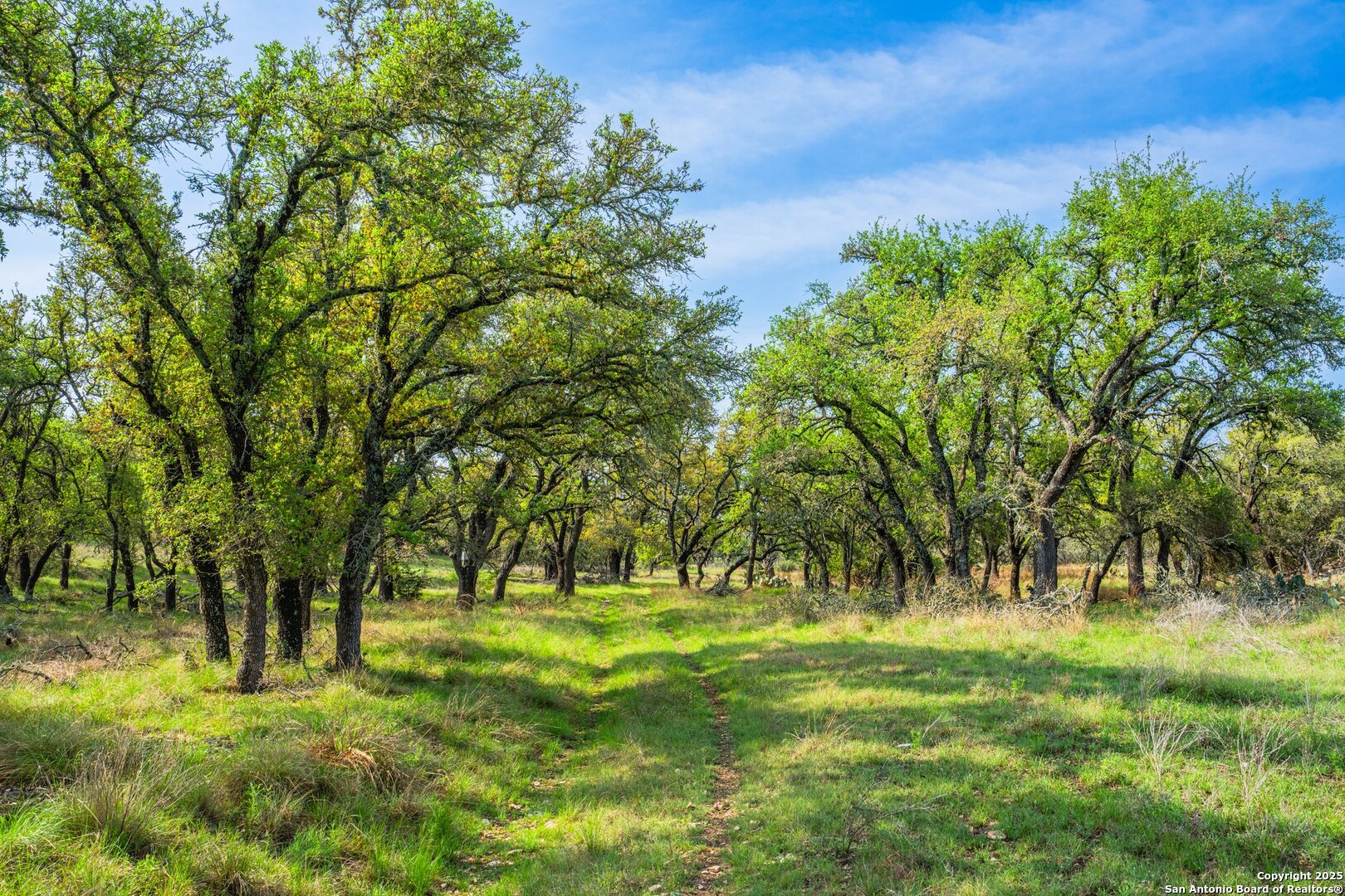563 J B Road Harper TX 78631