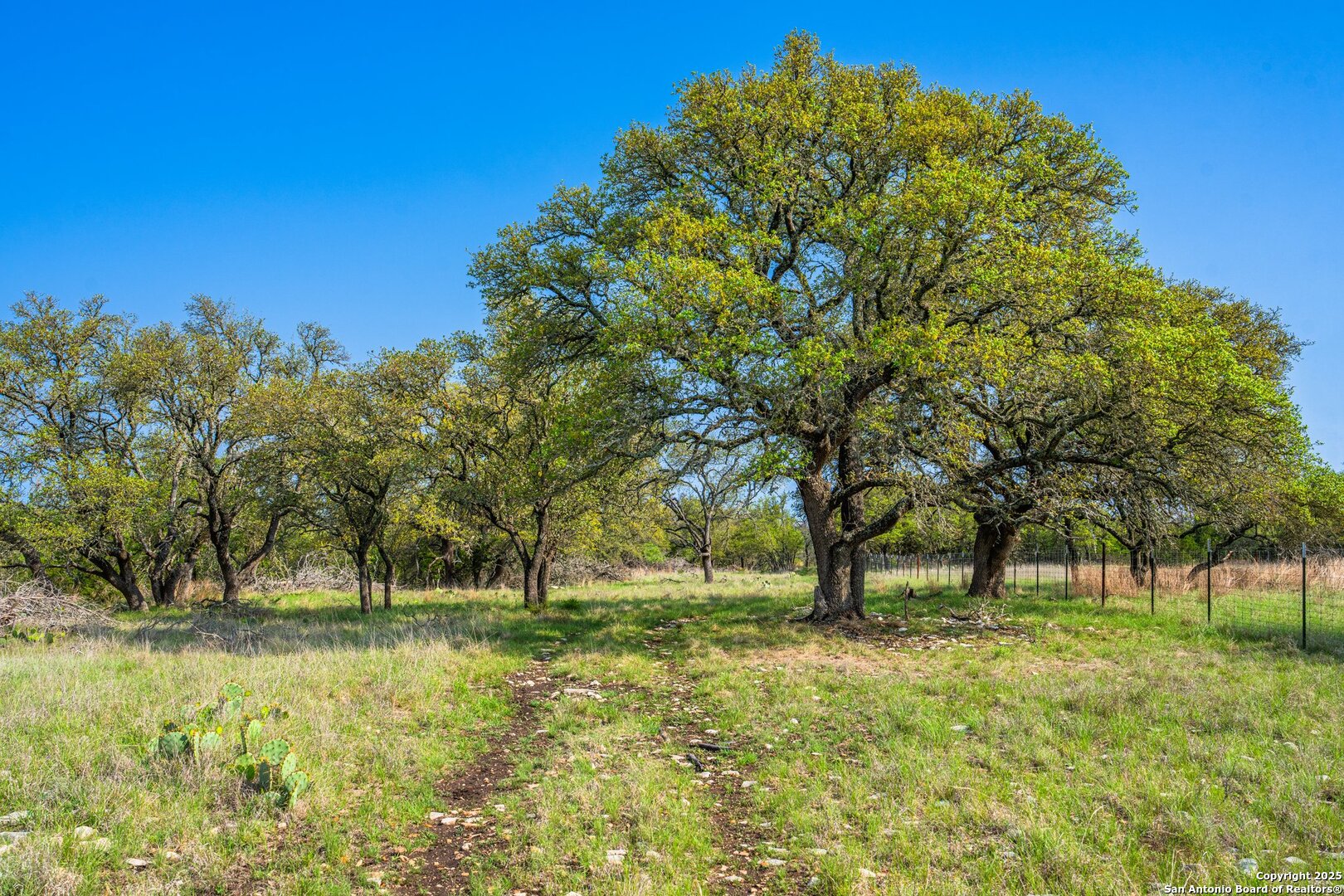 563 J B Road Harper TX 78631