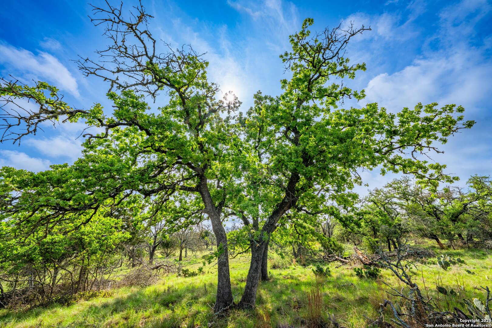 563 J B Road Harper TX 78631