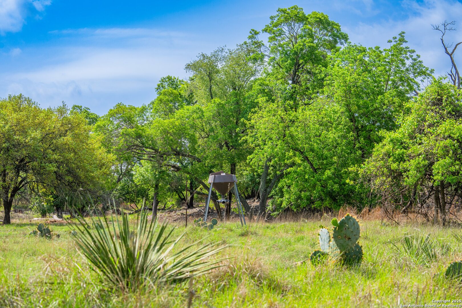 563 J B Road Harper TX 78631
