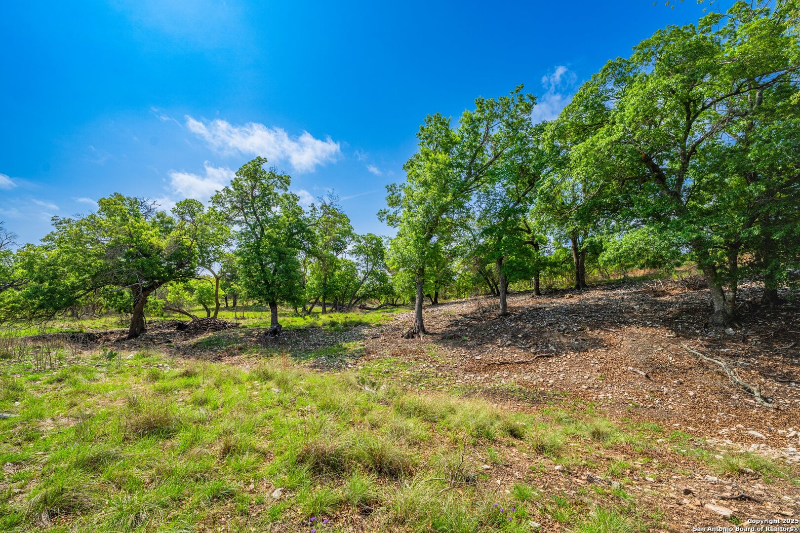 563 J B Road Harper TX 78631