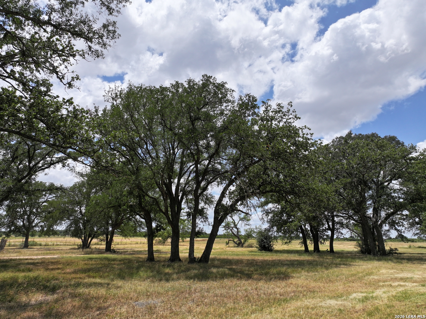 497 Luckenbach Road Fredericksburg TX 78624