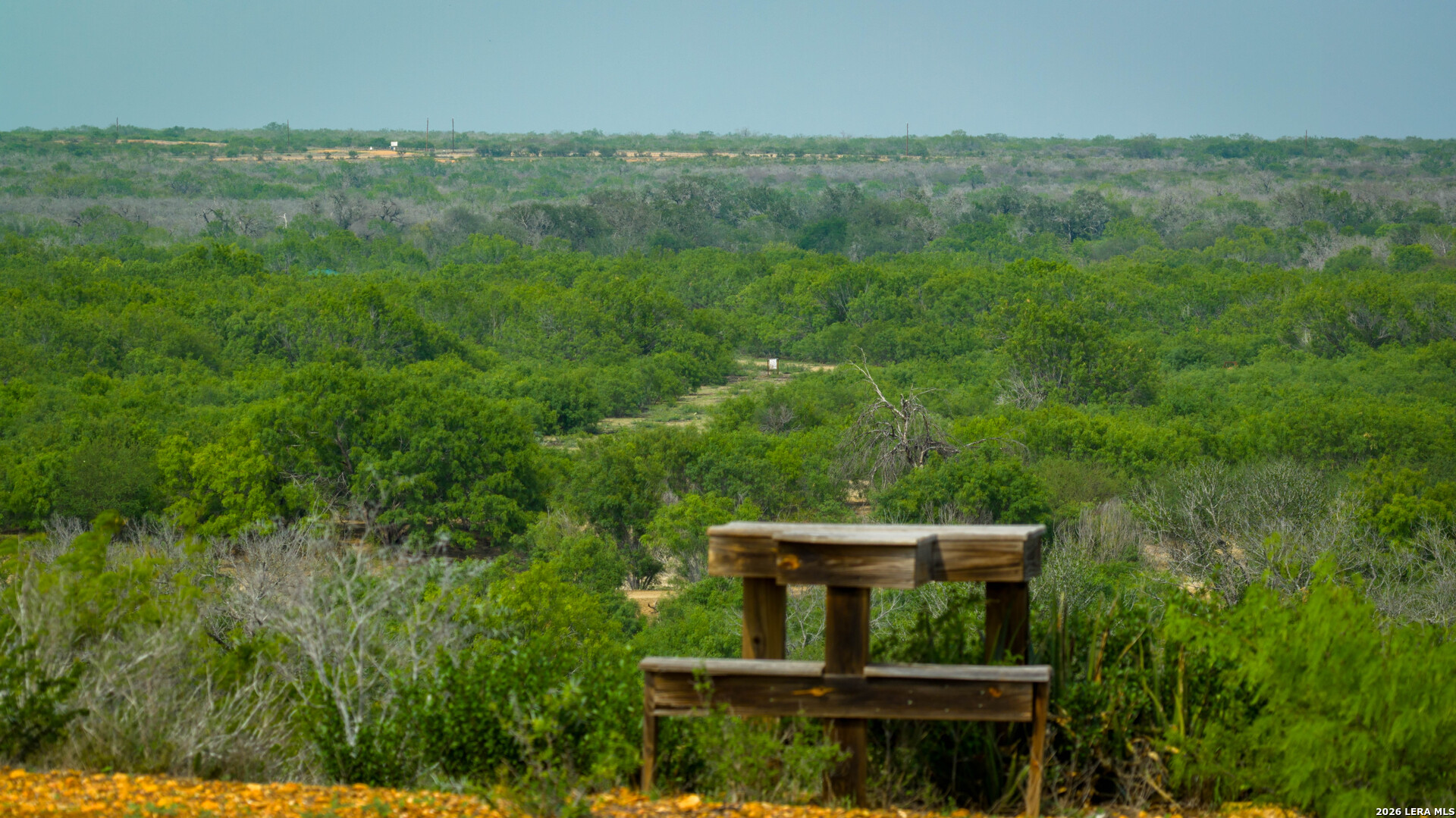 5797 Fm 3408 Cotulla TX 78014