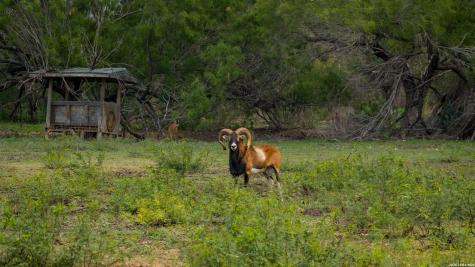 5797 Fm 3408 Cotulla TX 78014