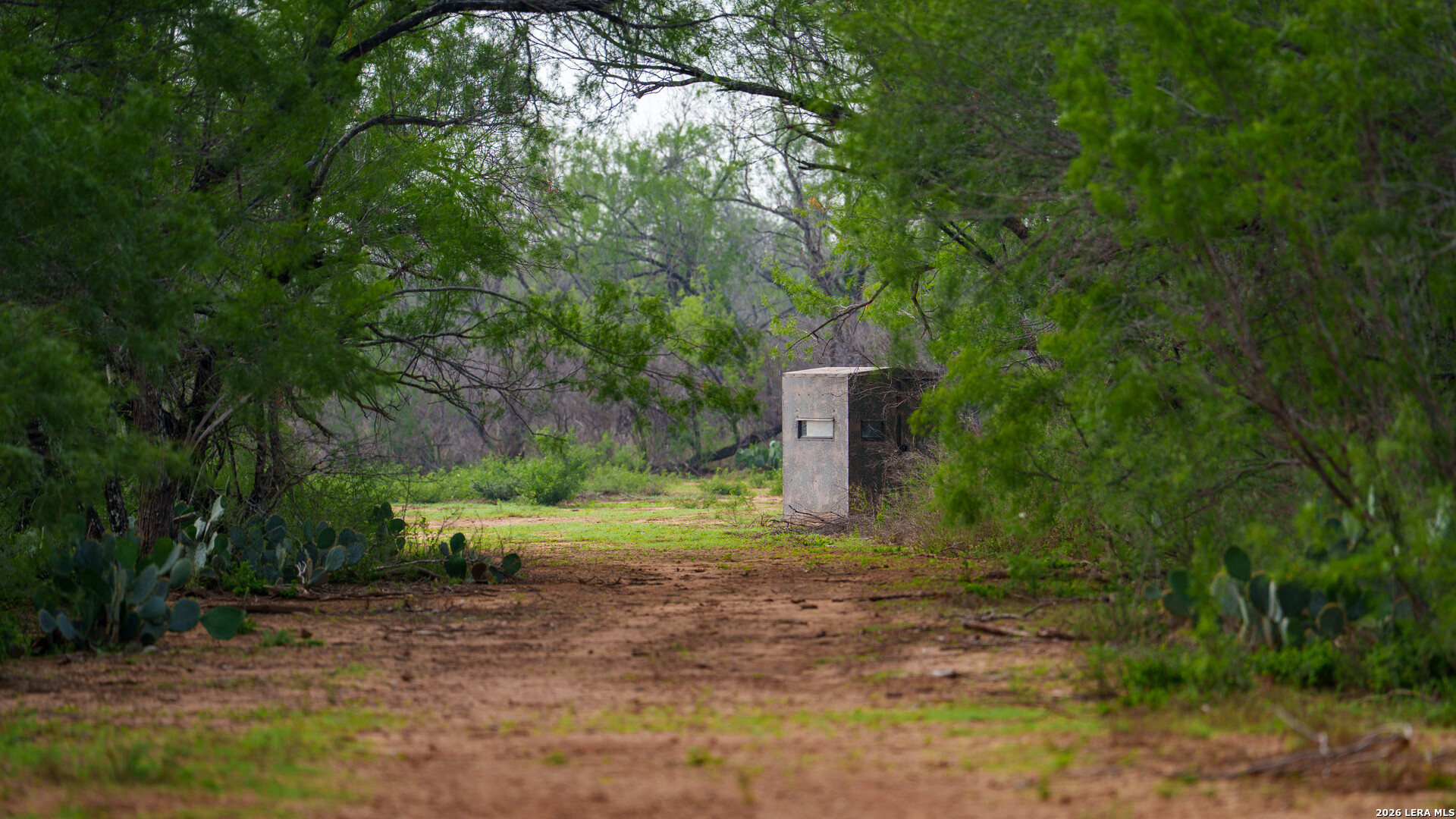 5797 Fm 3408 Cotulla TX 78014