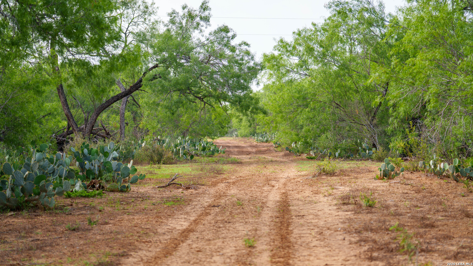5797 Fm 3408 Cotulla TX 78014