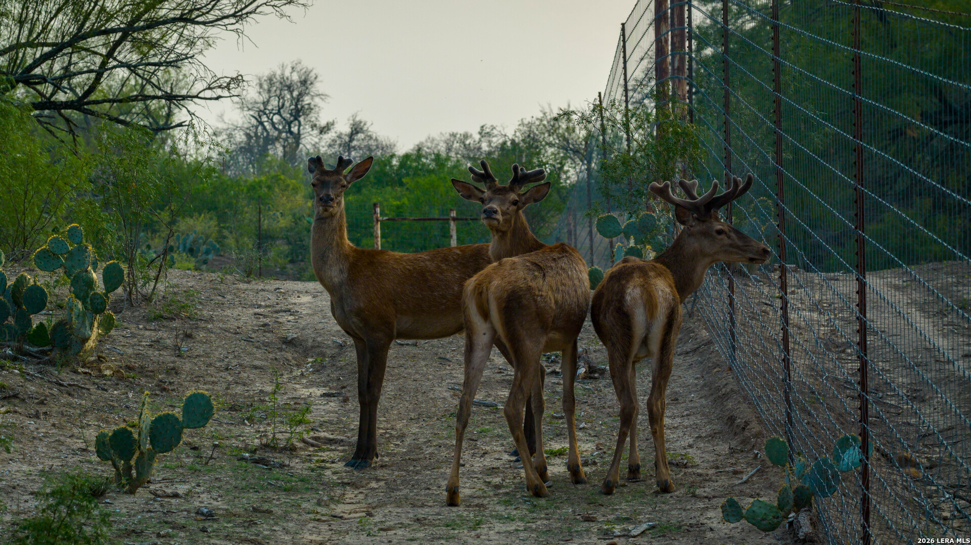 5797 Fm 3408 Cotulla TX 78014