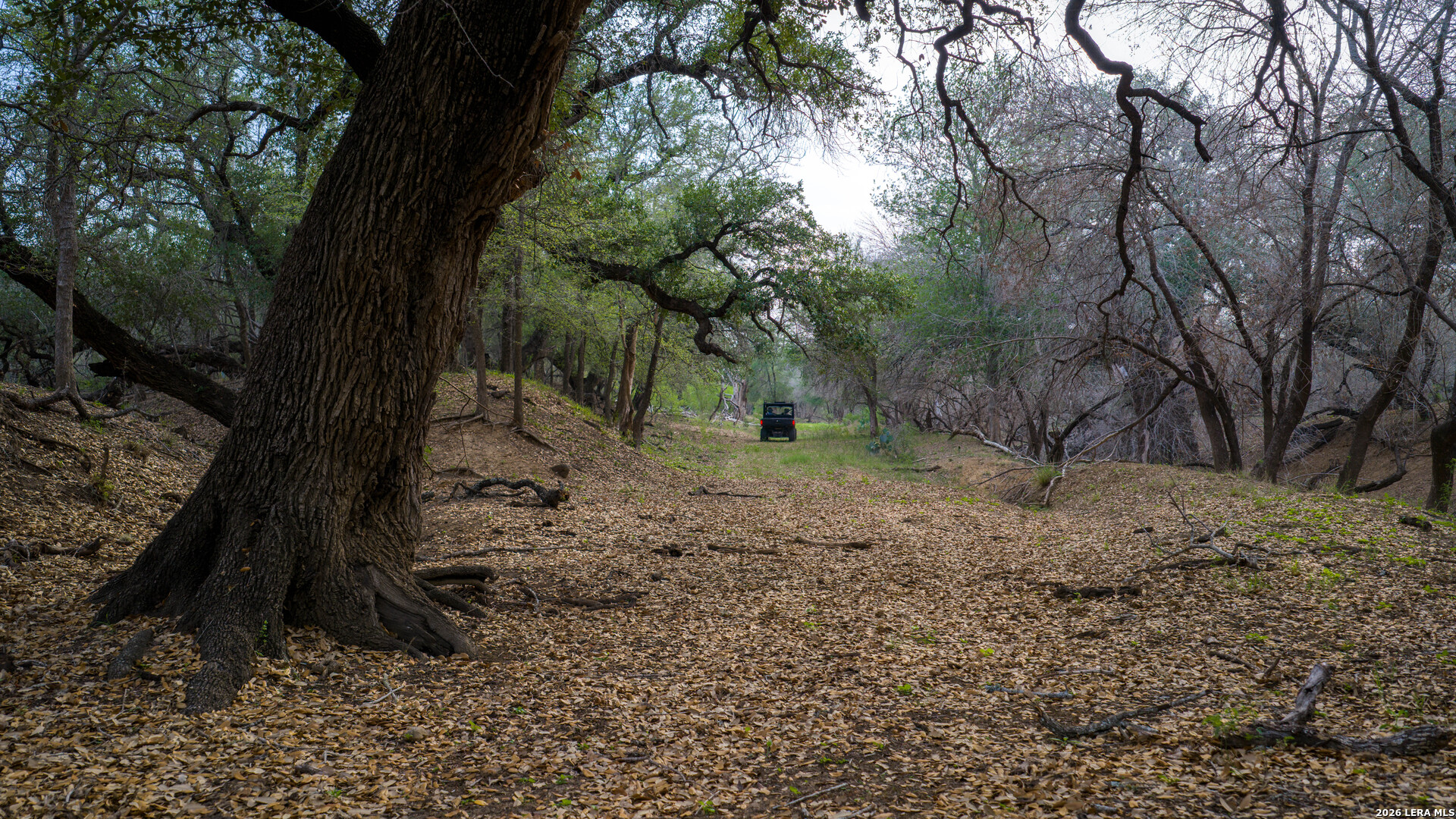 5797 Fm 3408 Cotulla TX 78014