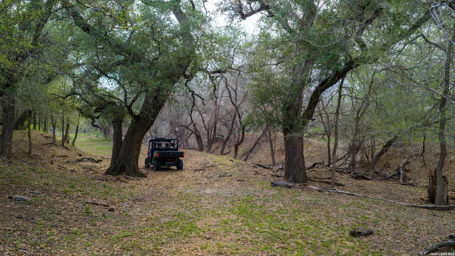 5797 Fm 3408 Cotulla TX 78014