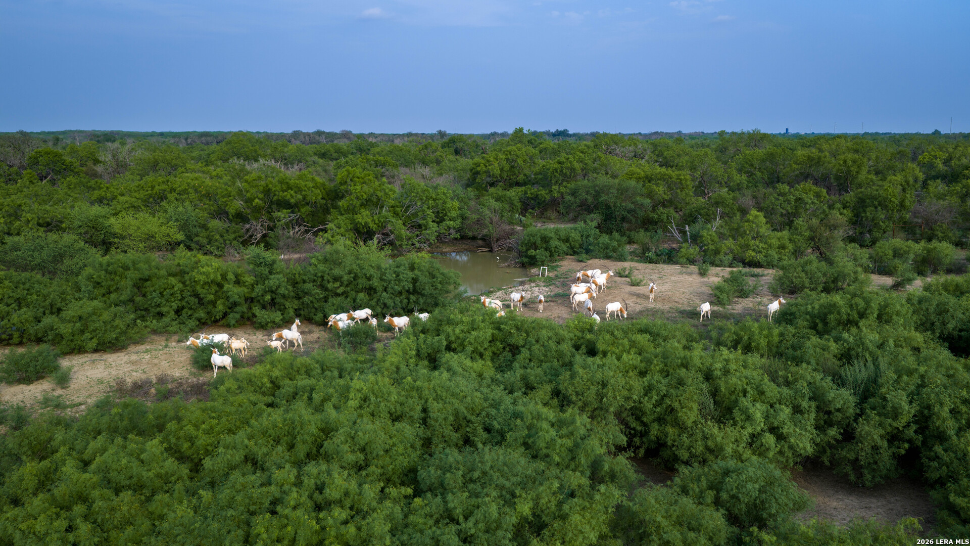5797 Fm 3408 Cotulla TX 78014