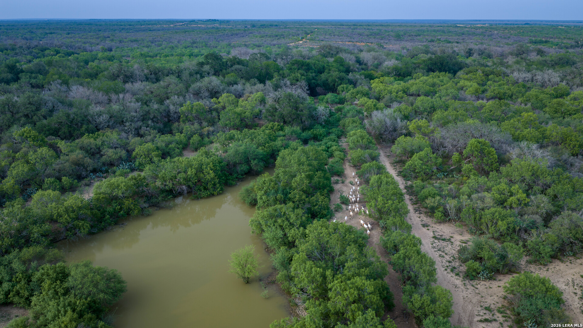 5797 Fm 3408 Cotulla TX 78014