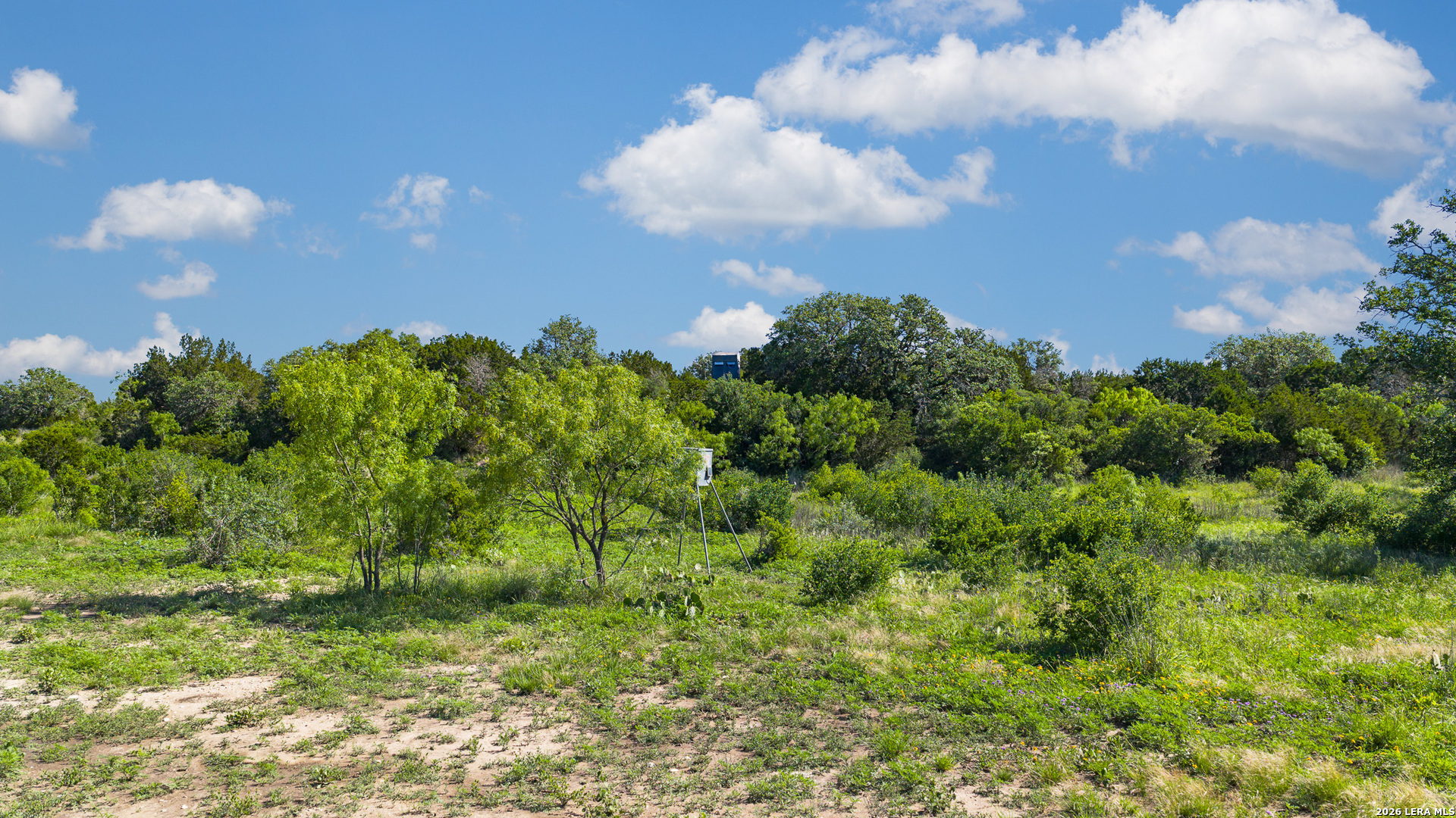 Tbd Fm 1221 London TX 76854
