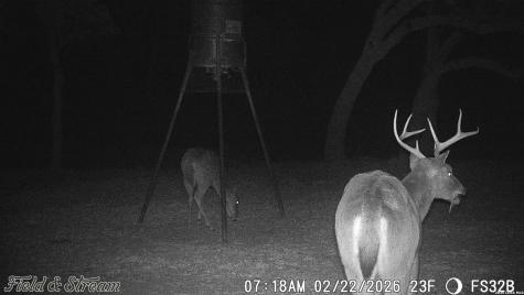 Tbd Fm 1221 London TX 76854