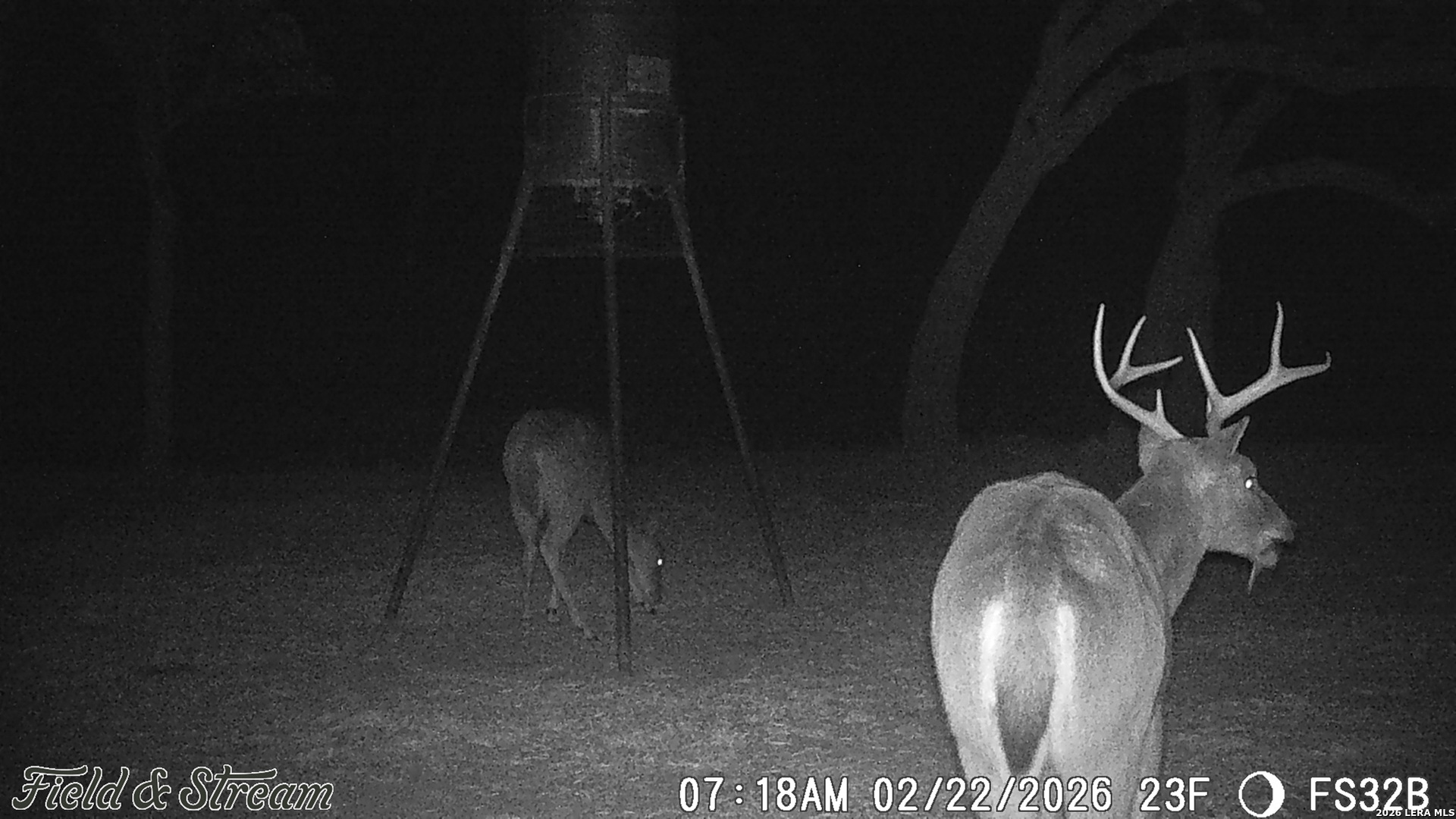 Tbd Fm 1221 London TX 76854